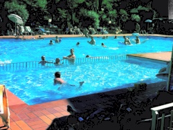 photo swimming pool