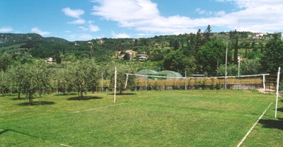 Volleyball and badminton on lawn