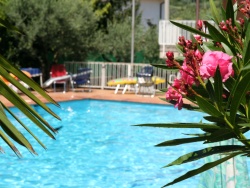zwembad en oleanders Villa Rosa