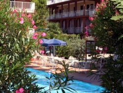 pool and oleanders