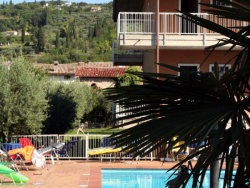 pool and oleanders